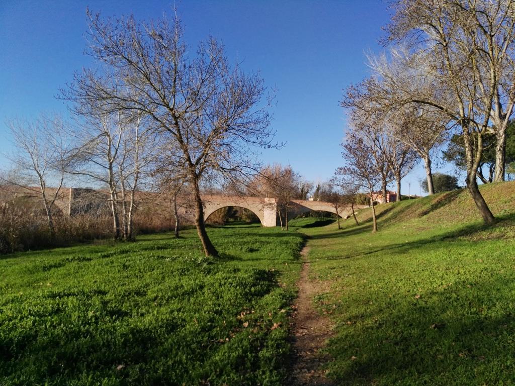 Newly Renovated Large Villa With Garden Castello  D'Empuries Exterior photo